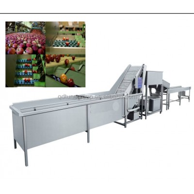 Brush Roller Type Sweet Potato Peeling And Washing Machine,Vegetable/fruits Washing And Peeling